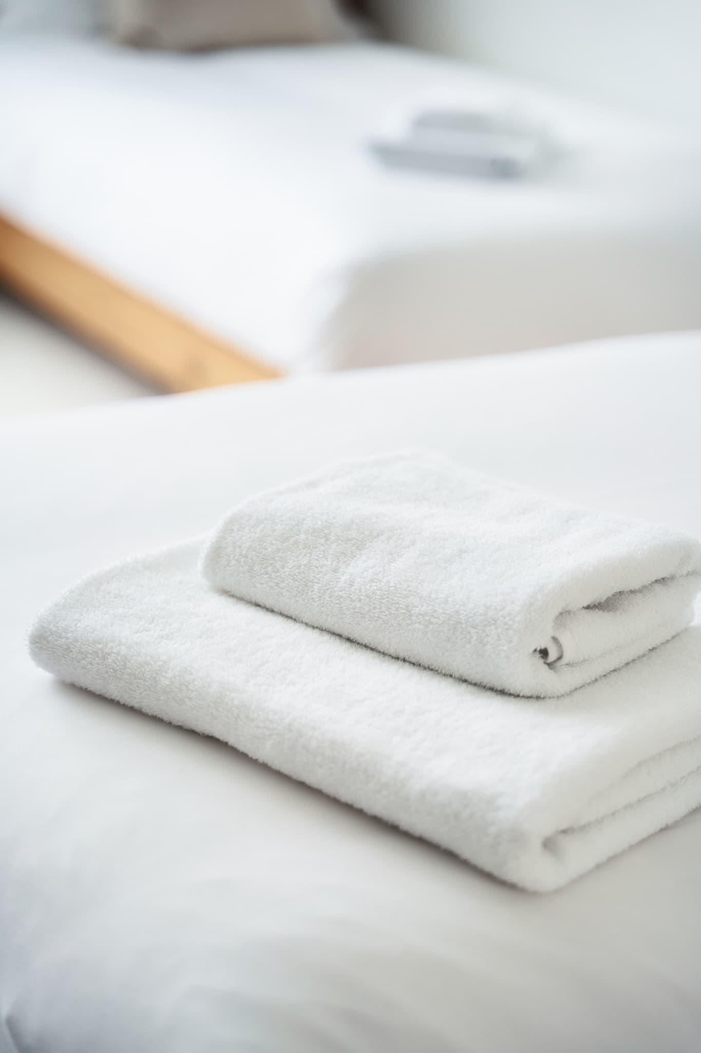 Woolly Mammoth , Film de visite immobilière image 7