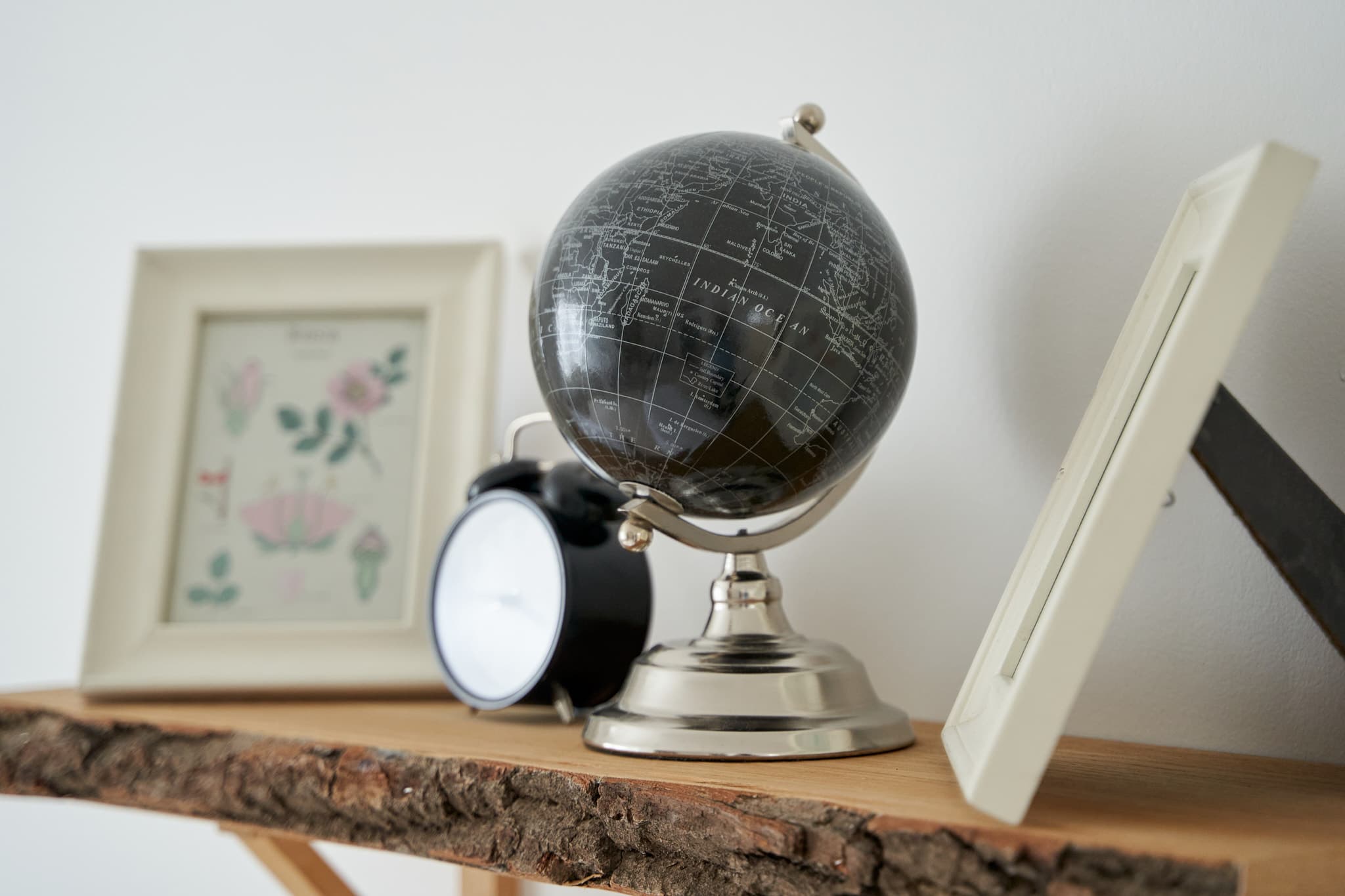 Woolly Mammoth , Film de visite immobilière image 8